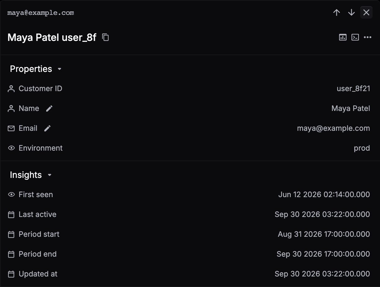A user's detail panel with Properties (Customer ID, Name, Email, Environment) and Insights (First seen, Last active, Period start, Period end, Updated at)