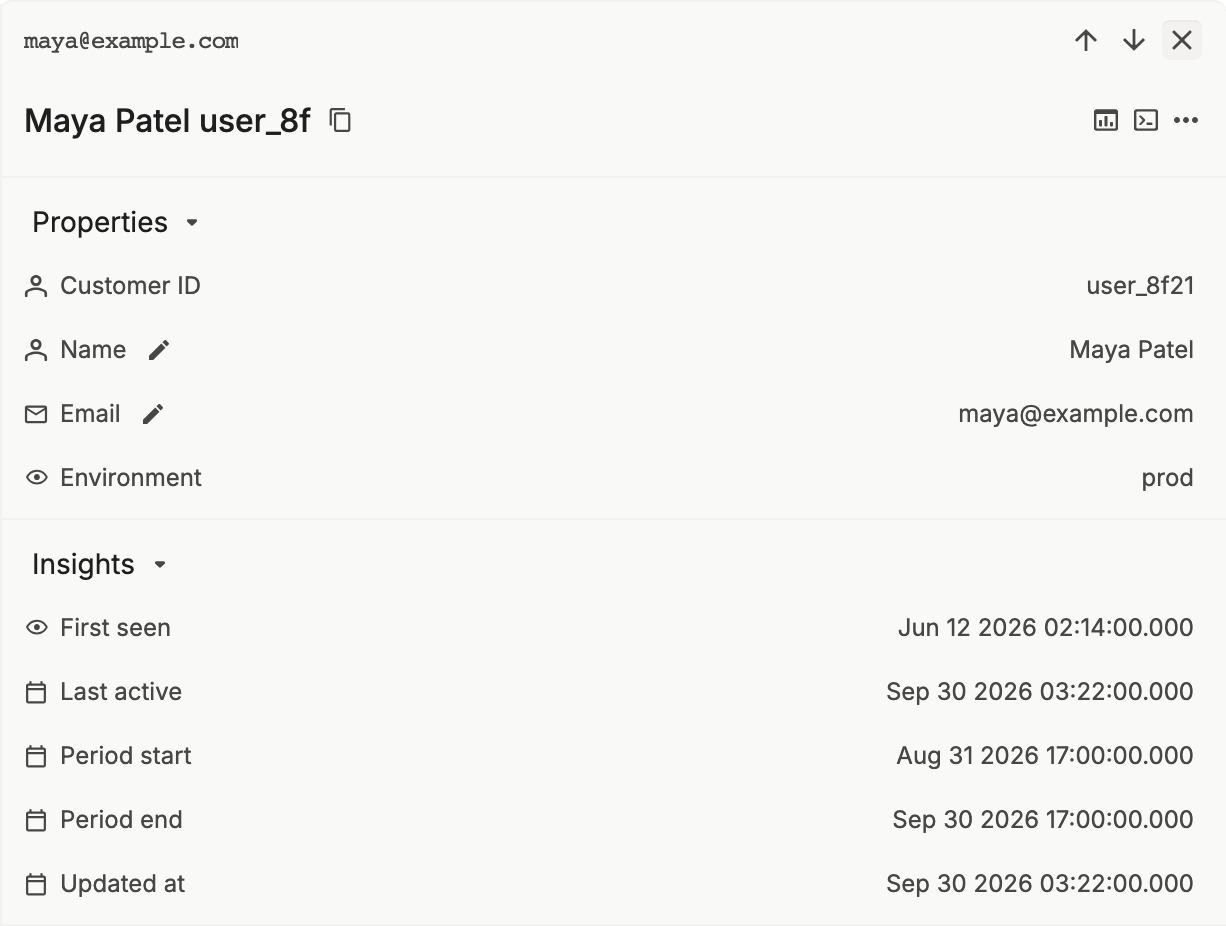 A user's detail panel with Properties (Customer ID, Name, Email, Environment) and Insights (First seen, Last active, Period start, Period end, Updated at)